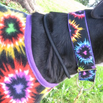 Heart My Hound matching coat and collar!  Discount if bought as a matching pair!